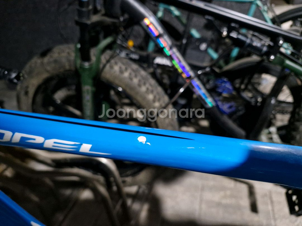 자이언트 하늘펠(프로펠 slr2)--2