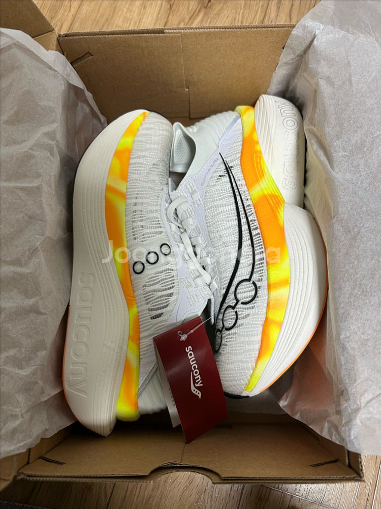 써코니 엔돌핀 엘리트2 260사이즈--0