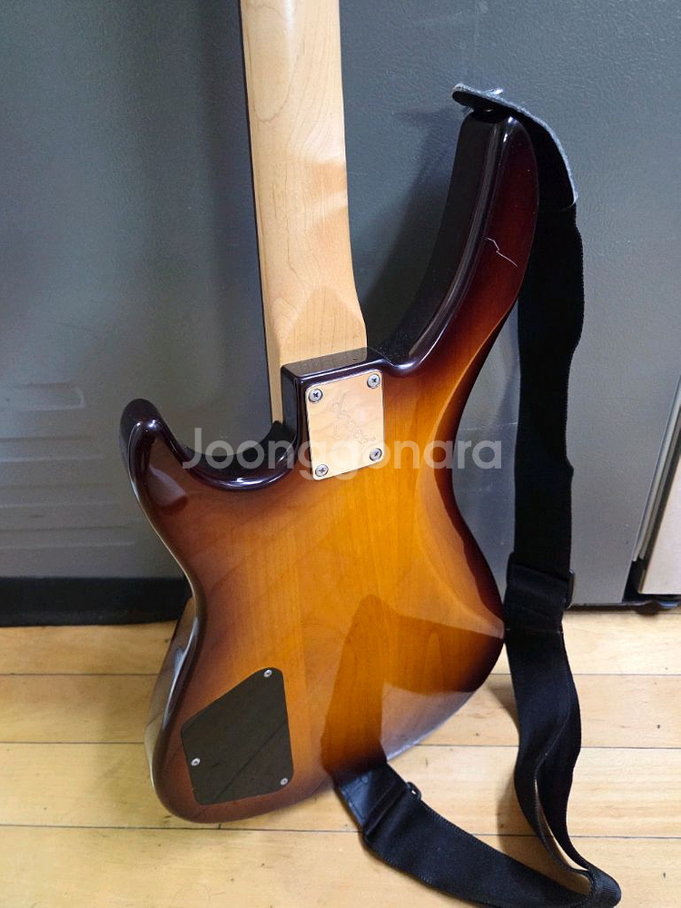 덱스터 베이스 기타 + 케이스--1