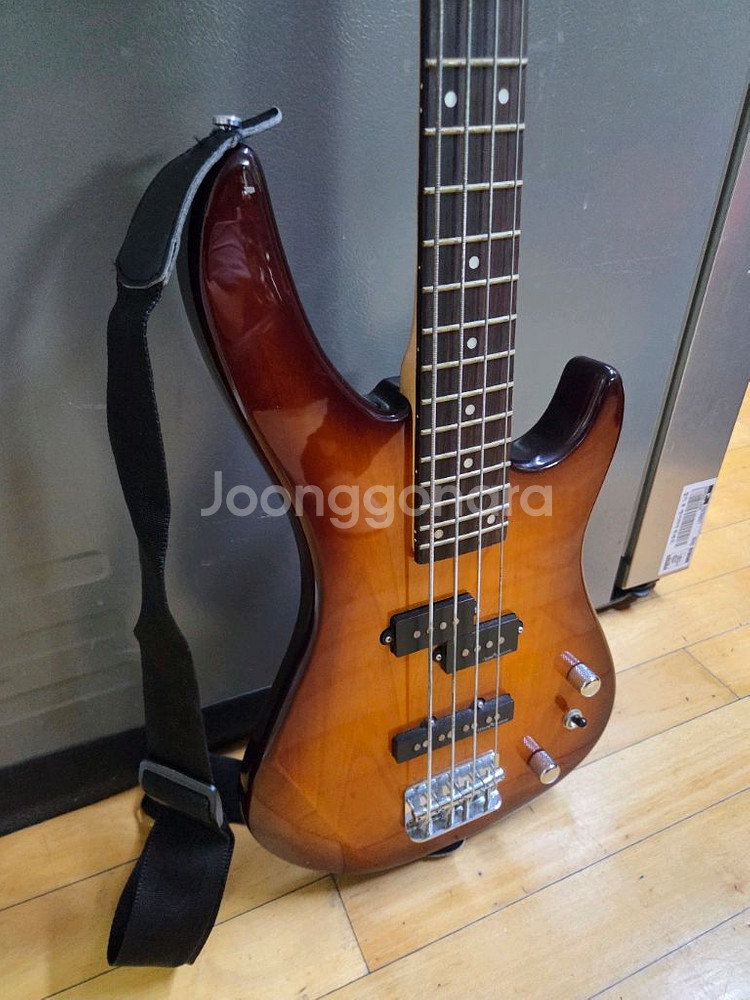 덱스터 베이스 기타 + 케이스--4