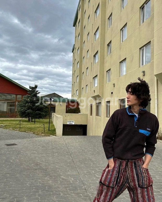 파타고니아 신칠라 플럼 L사이즈(잔나비 최정훈 착)--4