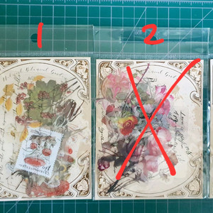 (처분) 다꾸 빈티지 pet 식물꽃스티커 4종