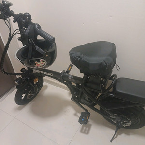 디스커버리 레이윙 전기자전거 F14e18PB 팬텀블랙