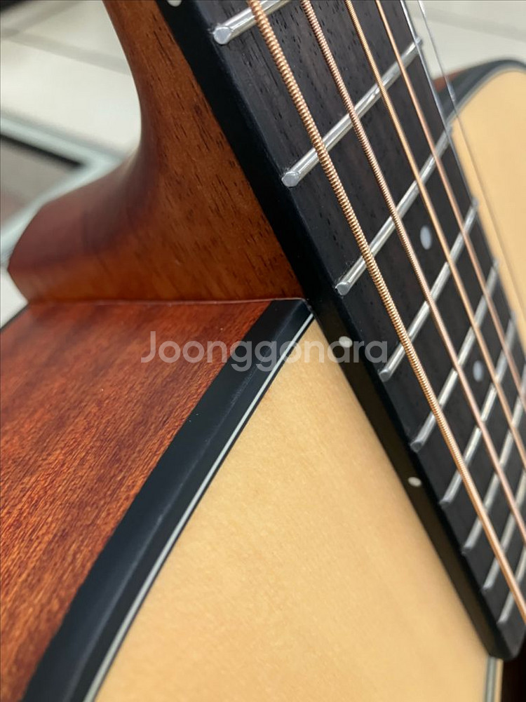 헥스 HEX 통기타 HIVE F100M 미사용신품--3