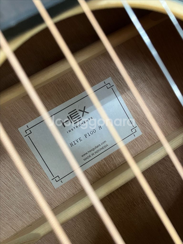 헥스 HEX 통기타 HIVE F100M 미사용신품--5