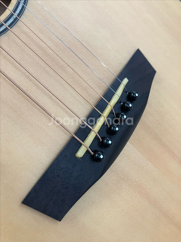 헥스 HEX 통기타 HIVE F100M 미사용신품--4