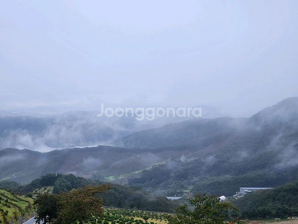 cgv 일반관 2d 영화 2인 예매--0