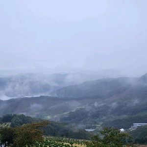 cgv 일반관 2d 영화 2인 예매