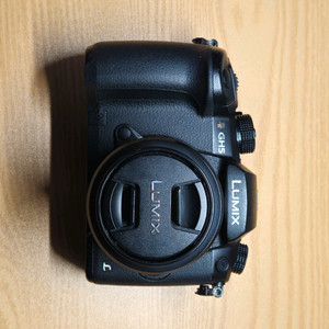 파나소닉 루믹스 GH5 카메라 (SD카드 추가 판매)