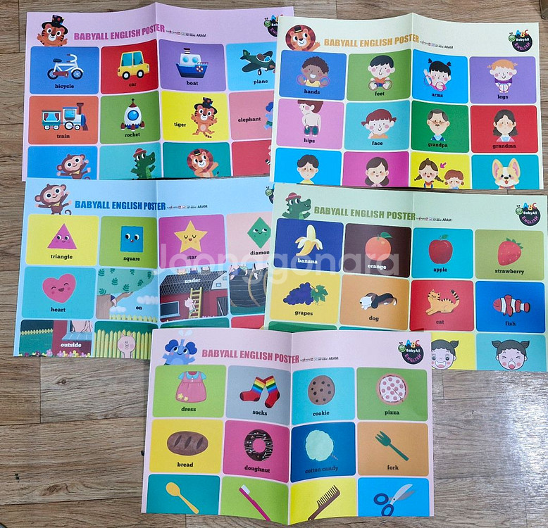 아람 베이비올 영어 세이펜버전 택포--4