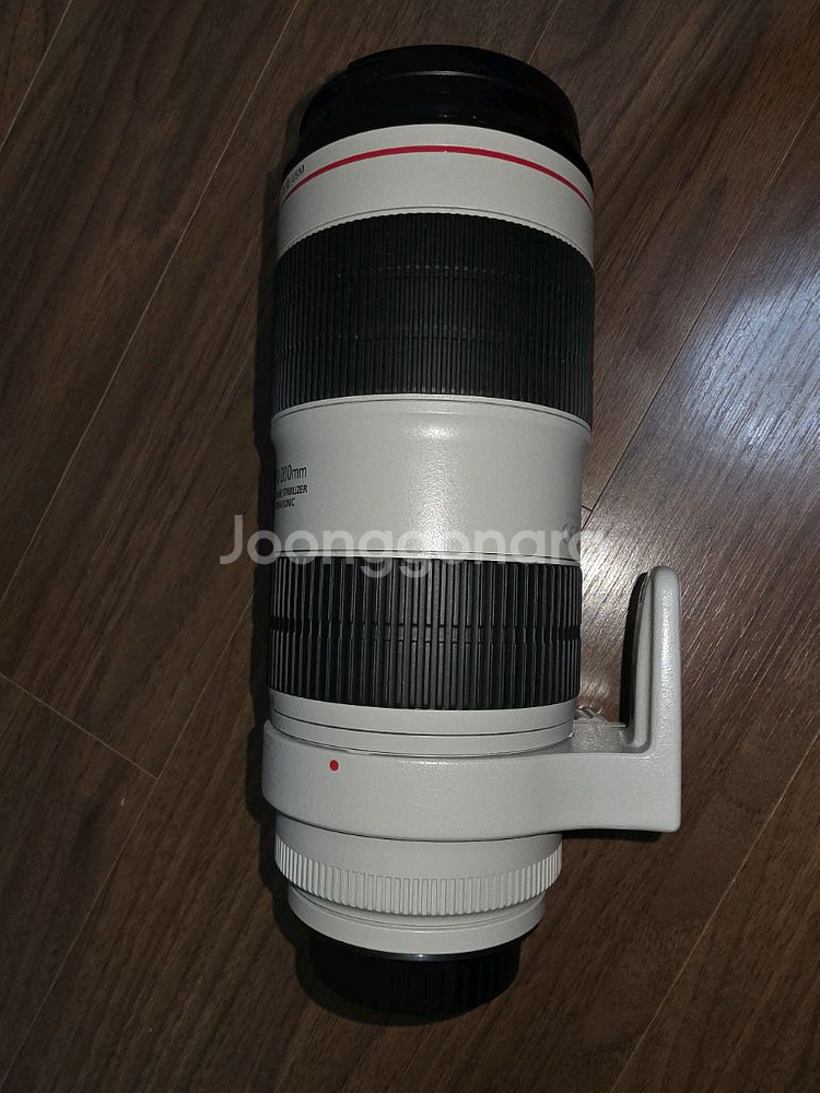 새새아빠백통 70-200mm F/2.8L IS II USM 렌즈--1