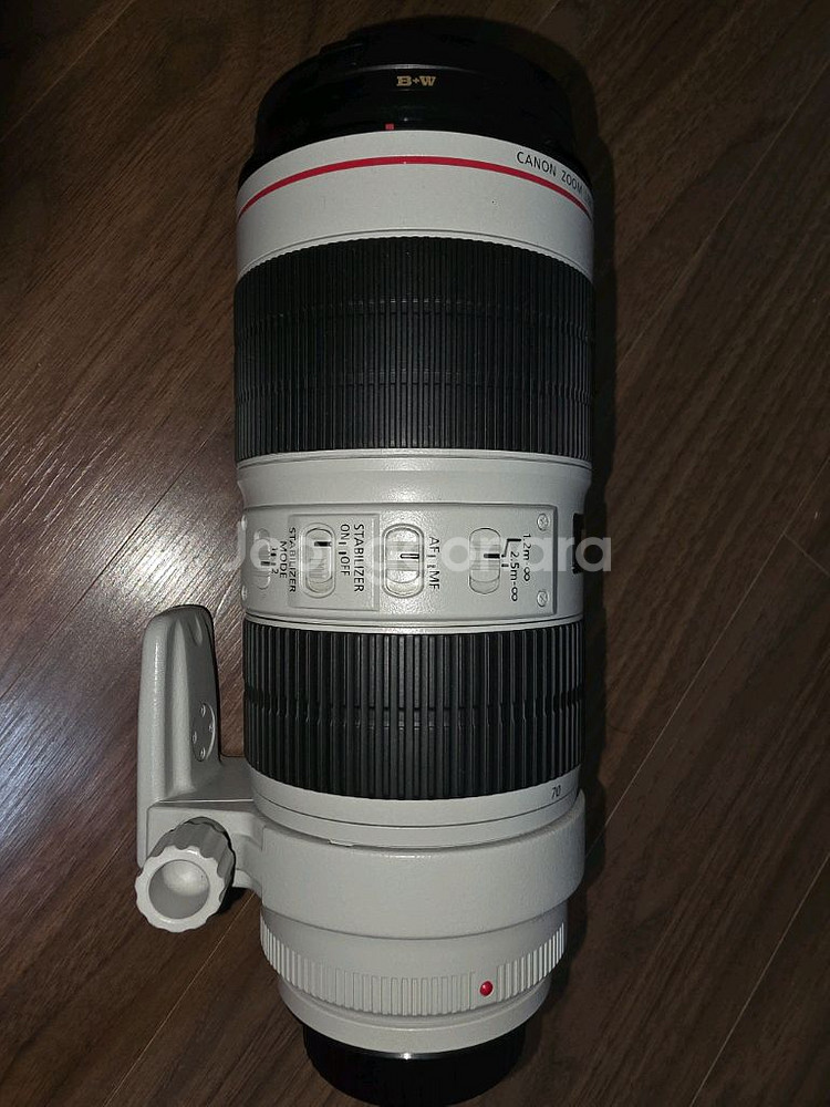 새새아빠백통 70-200mm F/2.8L IS II USM 렌즈--3
