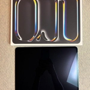 아이패드 프로 13인치 M4 256GB 셀룰러