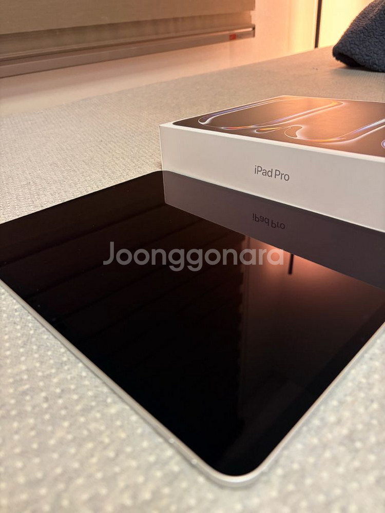 아이패드 프로 13인치 M4 256GB 셀룰러--4