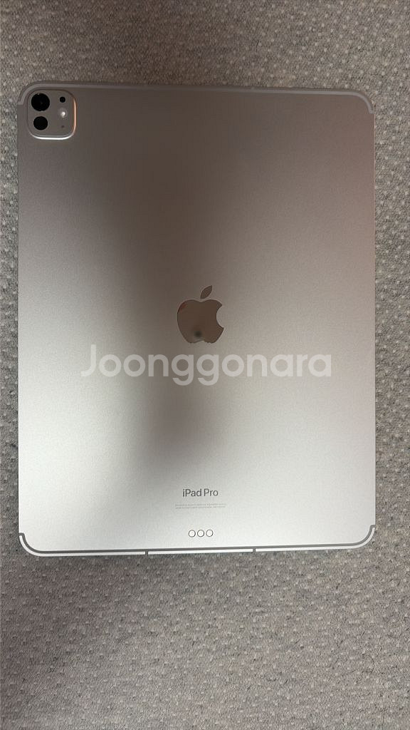 아이패드 프로 13인치 M4 256GB 셀룰러--5