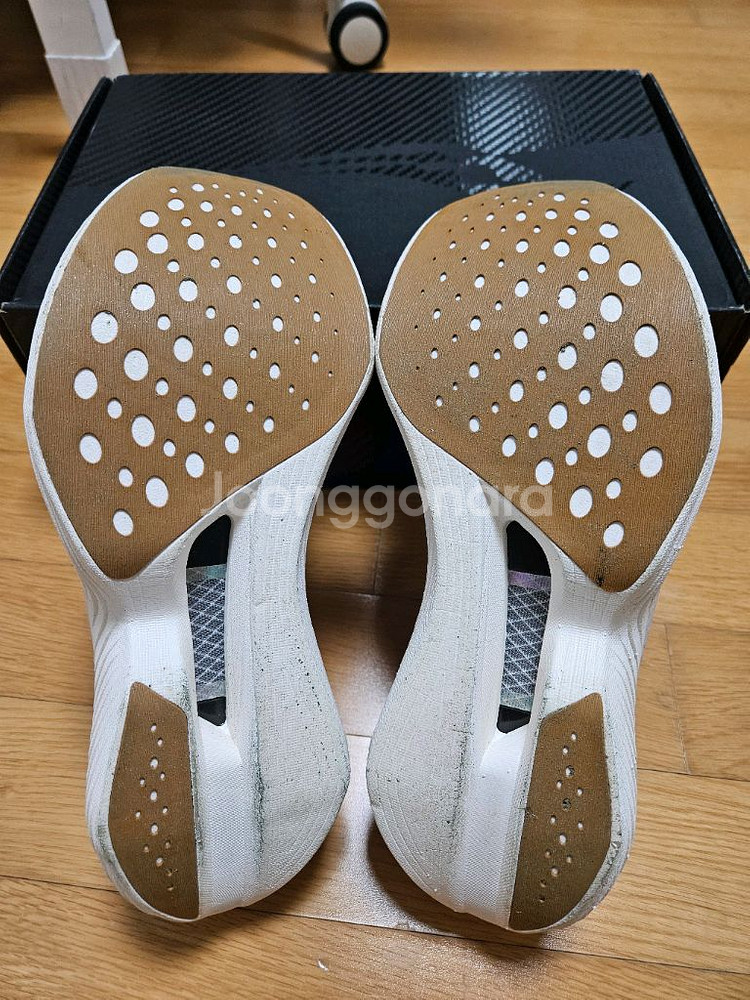 써코니 엔돌핀엘리트1 270사이즈--5