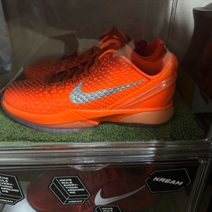 사브리나2, 코비, 루카,gt컷2 250~260