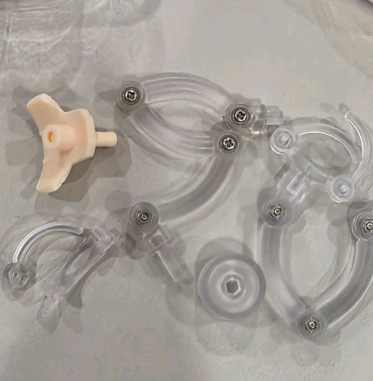 개봉) 로즈 어나더 컬러 넨도로이드 돌 넨도돌--6