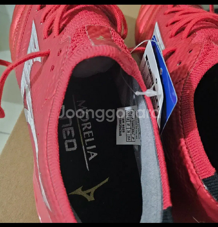 모렐리아 네오4 베타 엘리트 ag 235--1