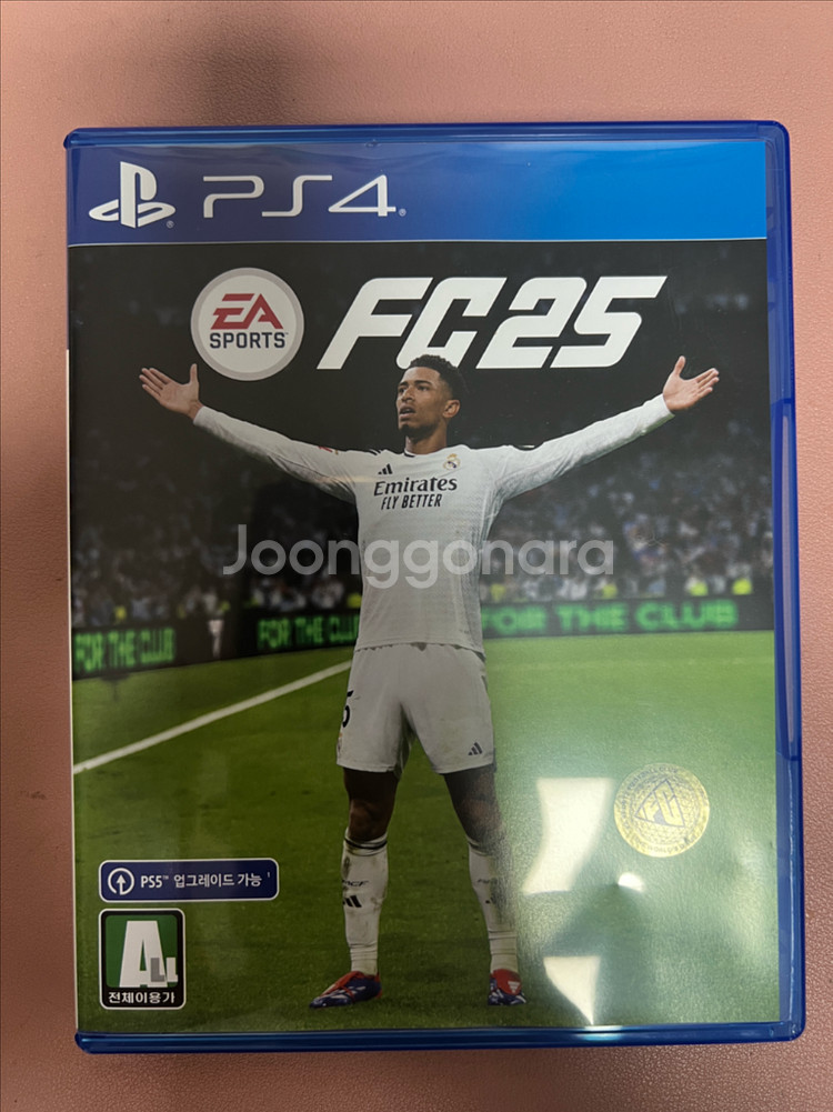 PS4 FC25 게임--0