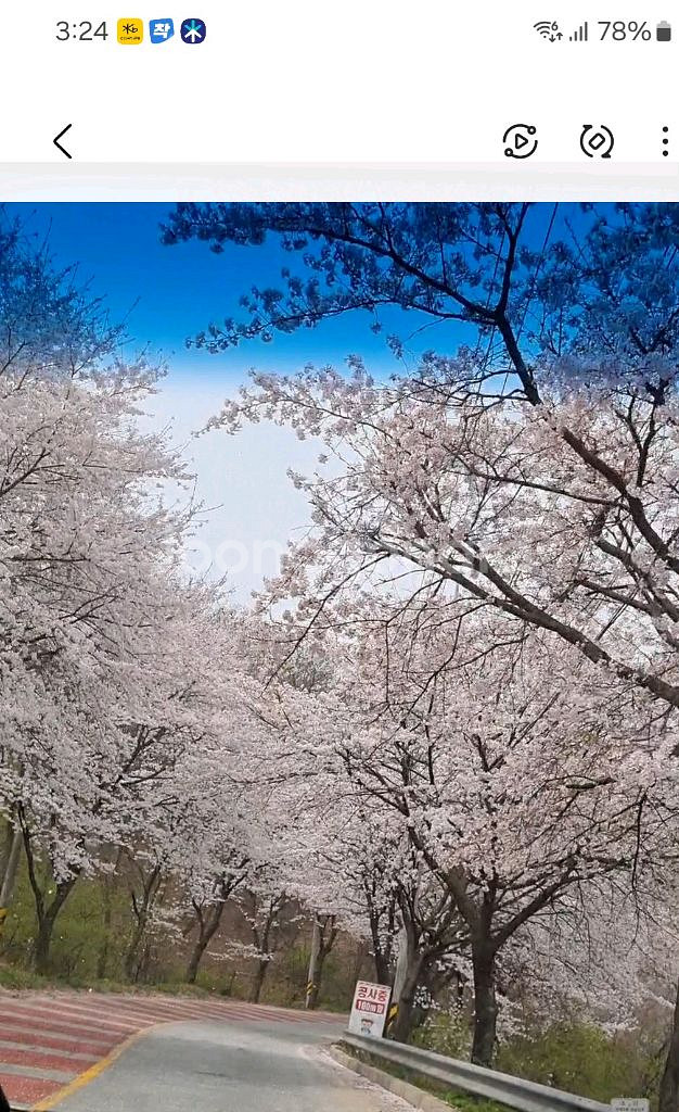 카카오페이지 5천--0