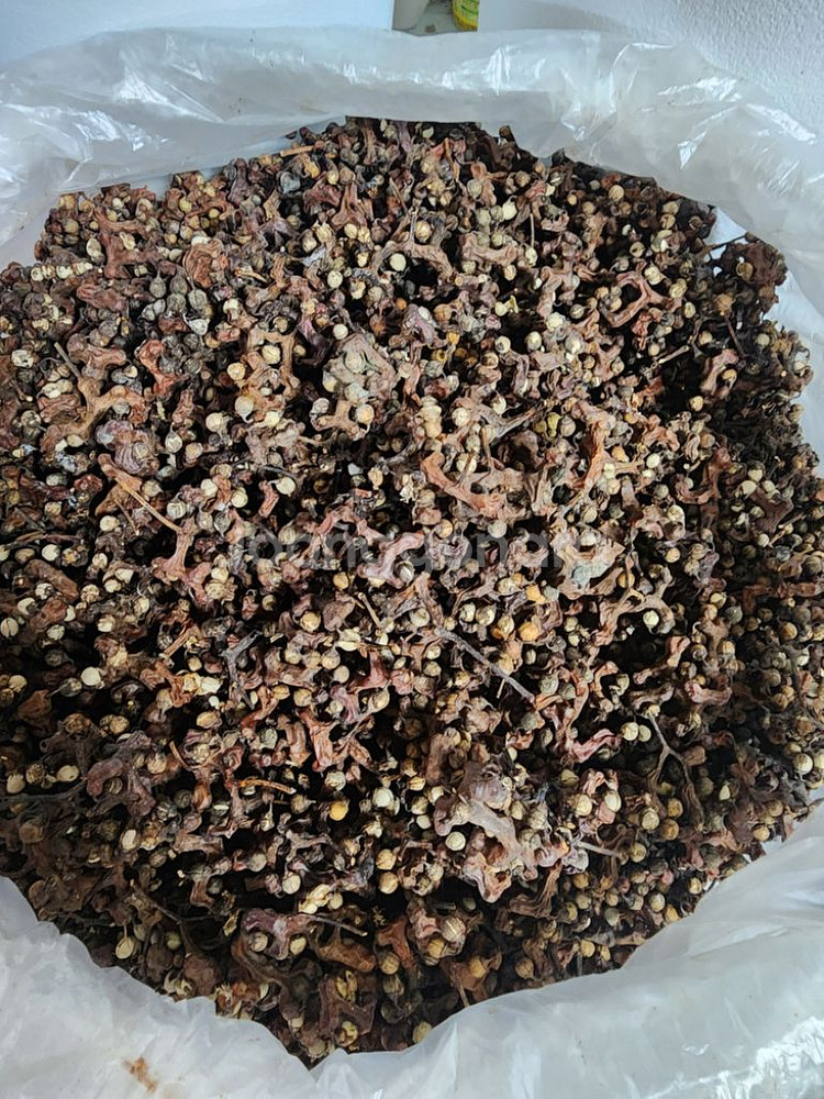 건강원에서 내린 녹용흑염소진액 흑염소즙--7