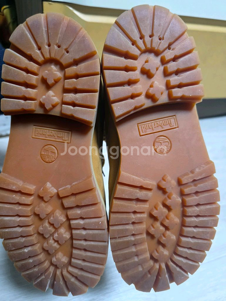 팀버랜드 6인치 여성부츠 (12709 3w 220)--2