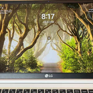 LG 그램 노트북 15인치