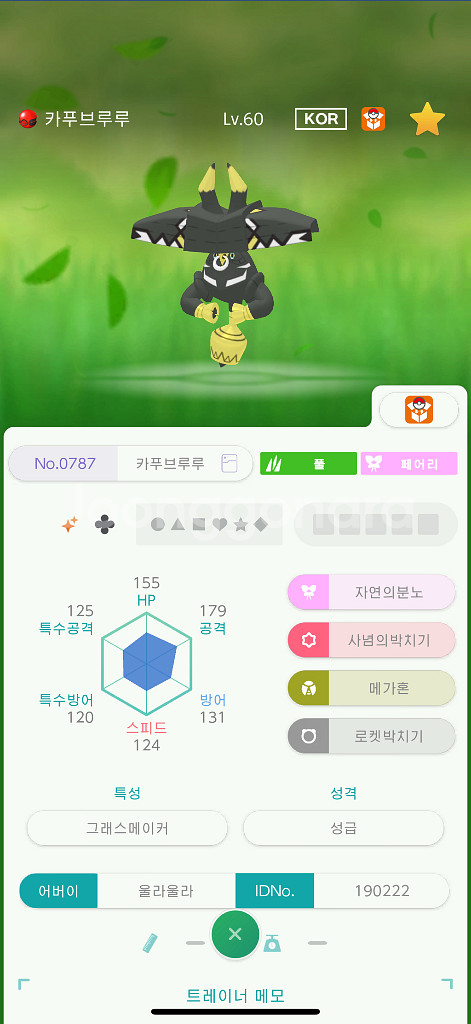 포켓몬 카푸시리즈 4종--3