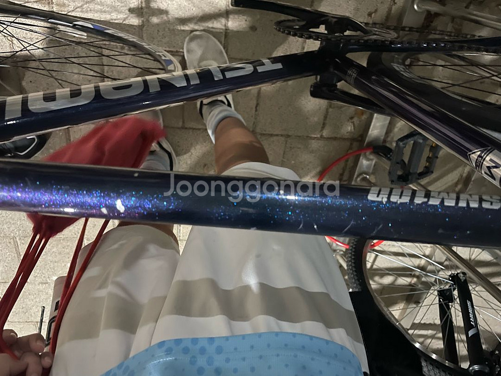 쓰나미 픽시 자전거--2