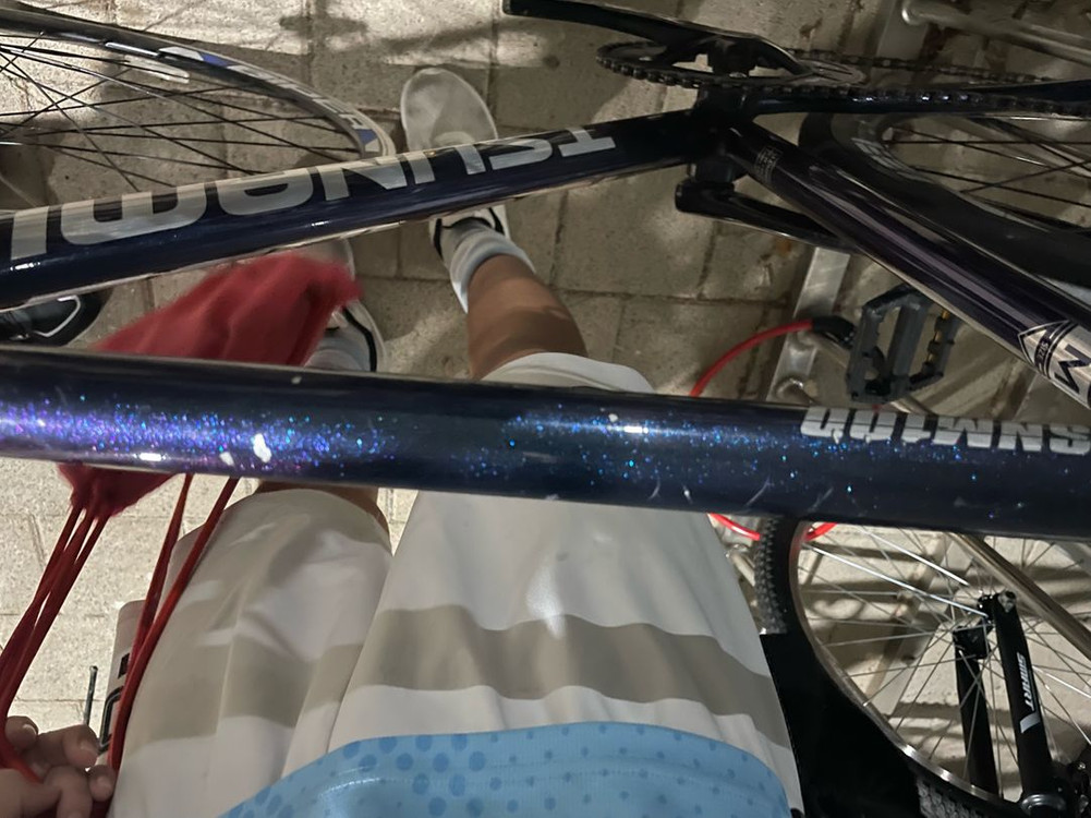 쓰나미 픽시 자전거 이미지