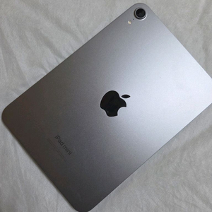 아이패드 미니 7세대 128GB WIFI + 짭펜