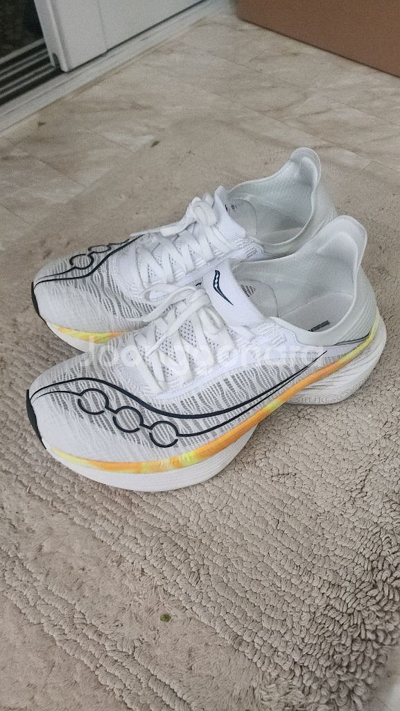 (급처1+1)써코니엔돌핀엘리트2+메타스피드엣지파리--0