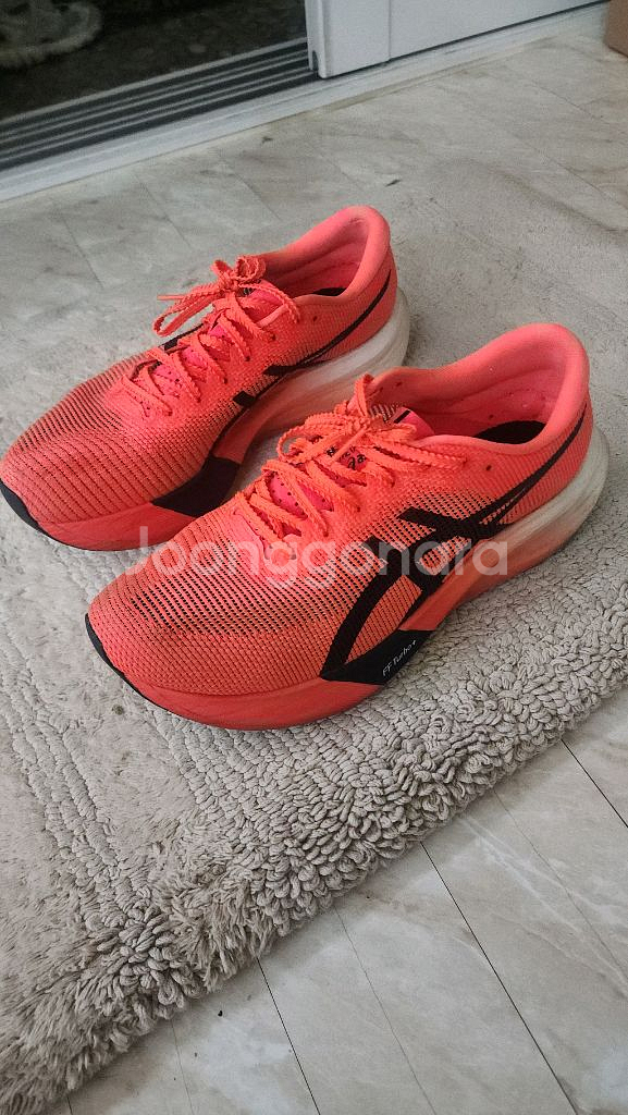 (급처1+1)써코니엔돌핀엘리트2+메타스피드엣지파리--3