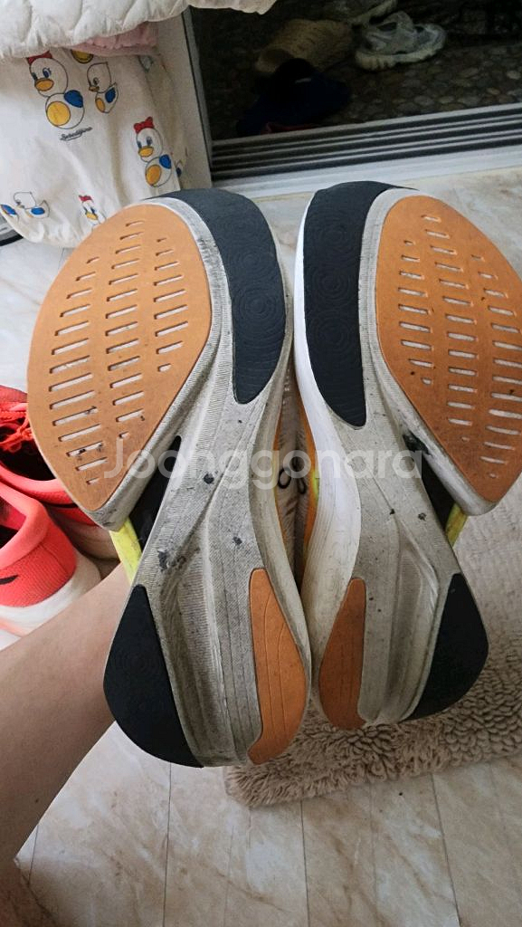 (급처1+1)써코니엔돌핀엘리트2+메타스피드엣지파리--2