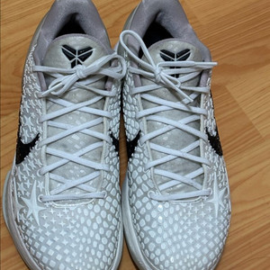 나이키 코비6 농구화 265