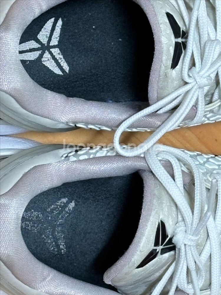 나이키 코비6 농구화 265--6