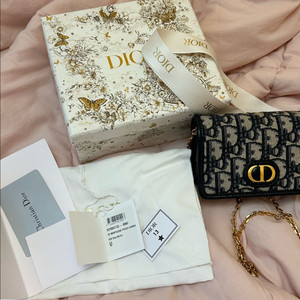 디올 오블리크 몽테인 나노 파우치 체인백 S2105UT