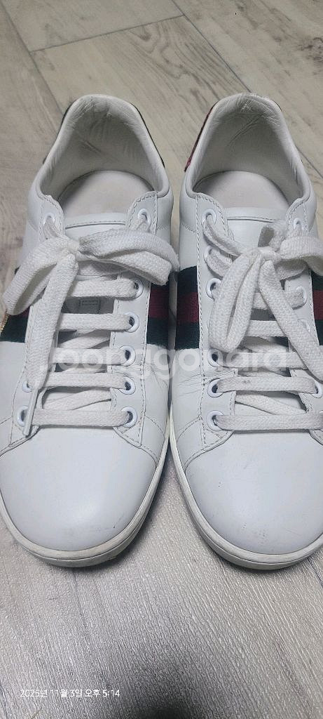 구찌 스니커즈--1