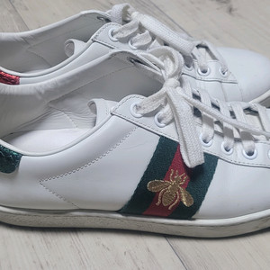 구찌 스니커즈