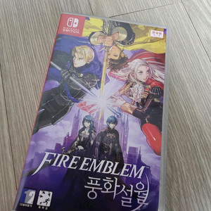 닌텐도칩 풍화설월