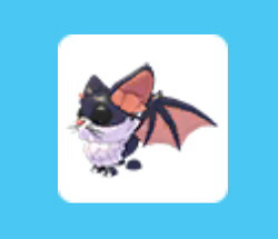 입양하세요 고양이 박쥐--0