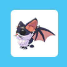 입양하세요 고양이 박쥐