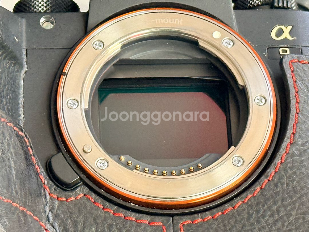 소니 A9 + FE 16-35mm F2.8 GM 렌즈 세트--5