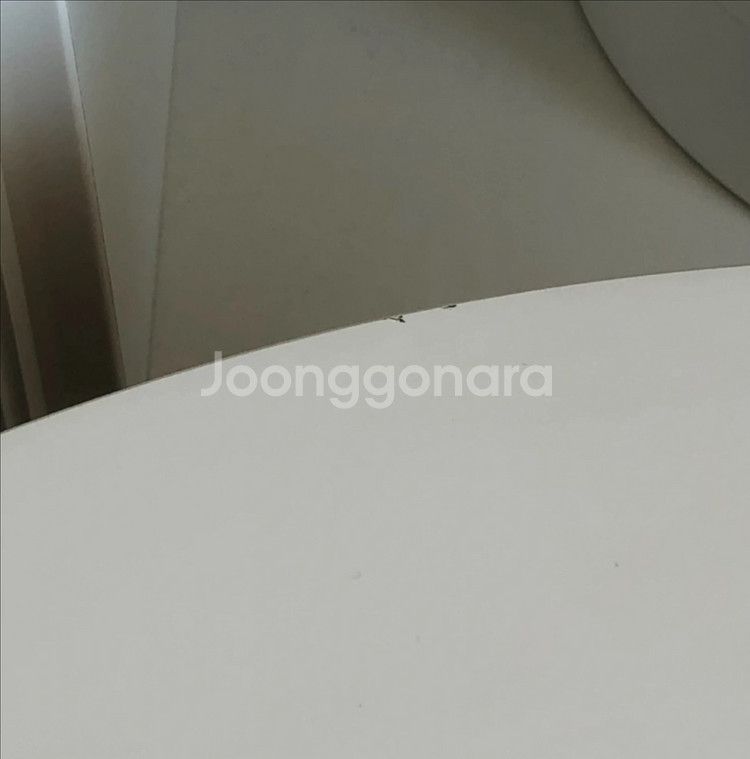 잭슨카멜레온 돌멘 소파테이블--3