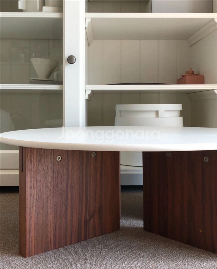 잭슨카멜레온 돌멘 소파테이블--2