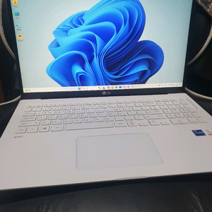 LG그램 노트북 17인치 11세대 i7 RAM16G