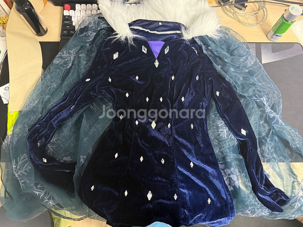 택포/ 겨울왕국2 엘사복장--1