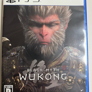 PS5 검은신화 오공 (코드사용)