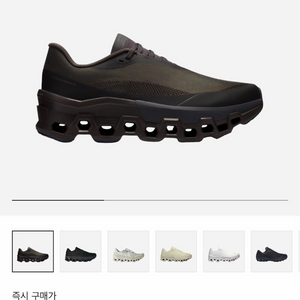 온러닝 파프 클라우드몬스터2 쏜 브라운 245